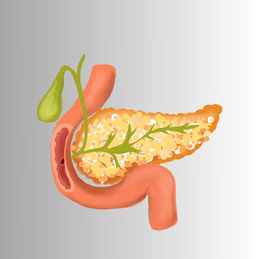 pancrease